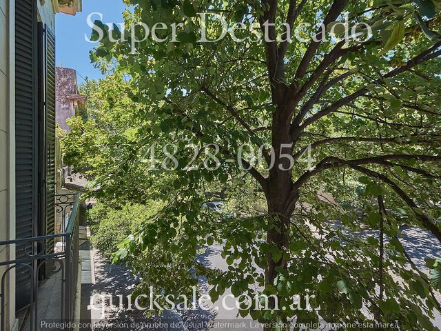 place photo 41