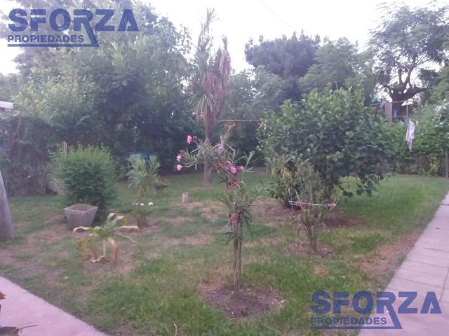 place photo 20