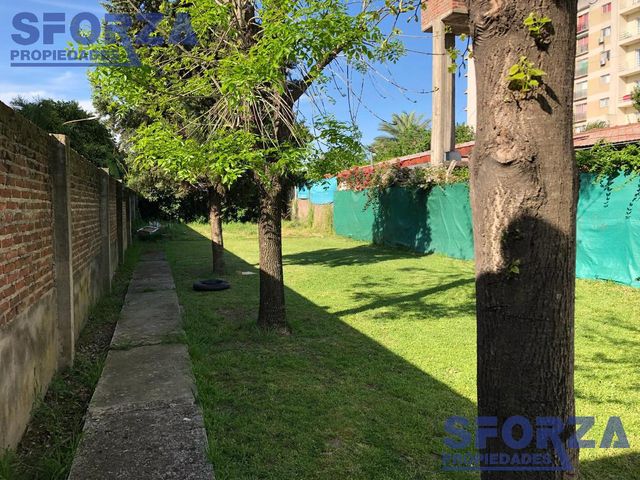place photo 16