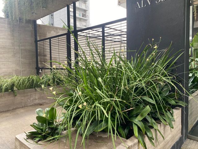 place photo 33