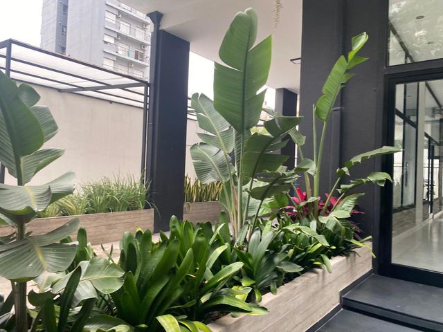 place photo 34