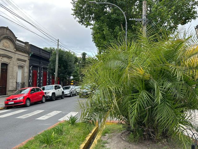 place photo 20