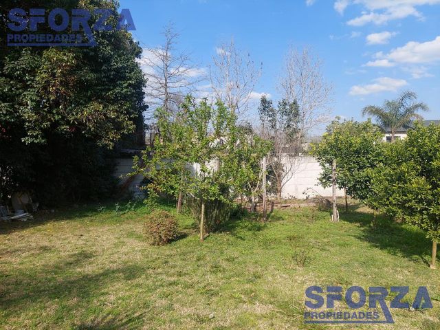 place photo 27