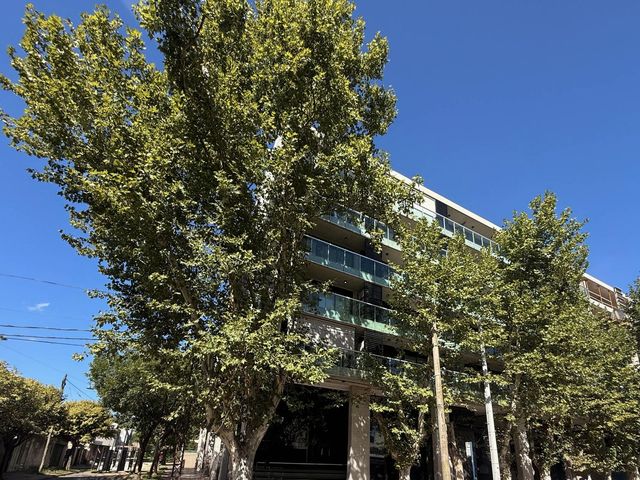 place photo 43