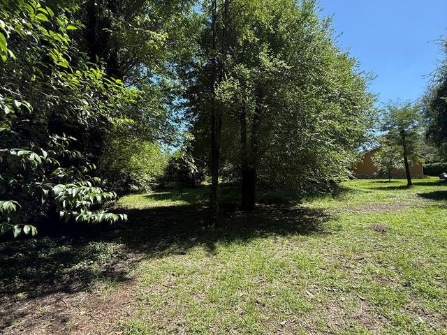 place photo 69