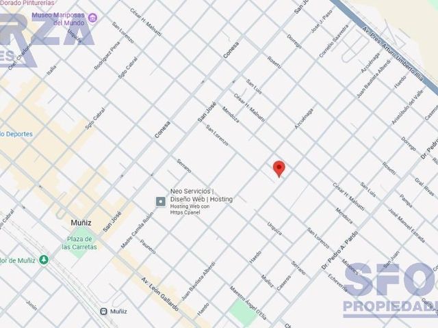 place photo 19