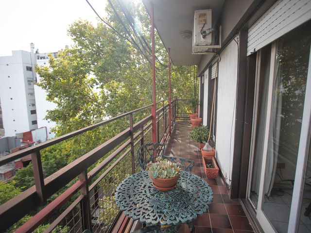 place photo 35