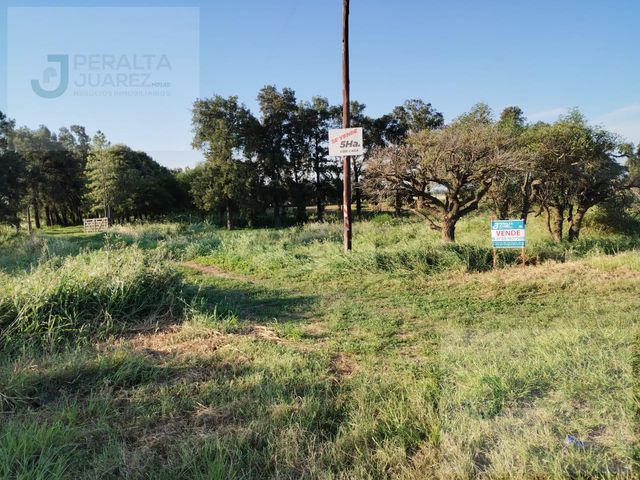 place photo 35
