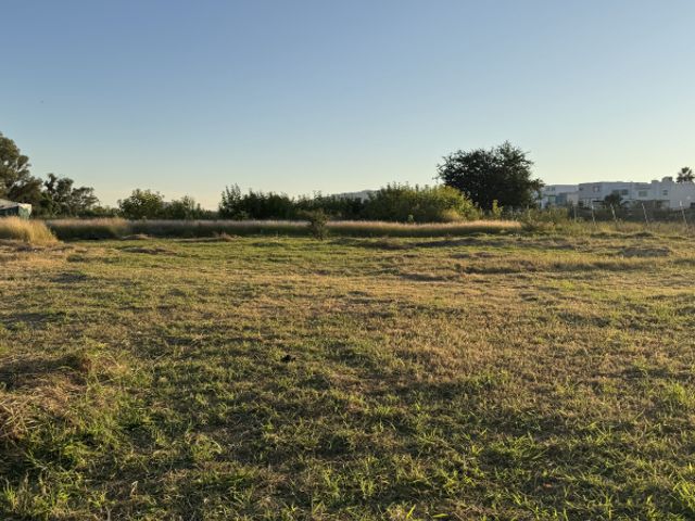 Terreno en Renta en San Juan de Ocotan