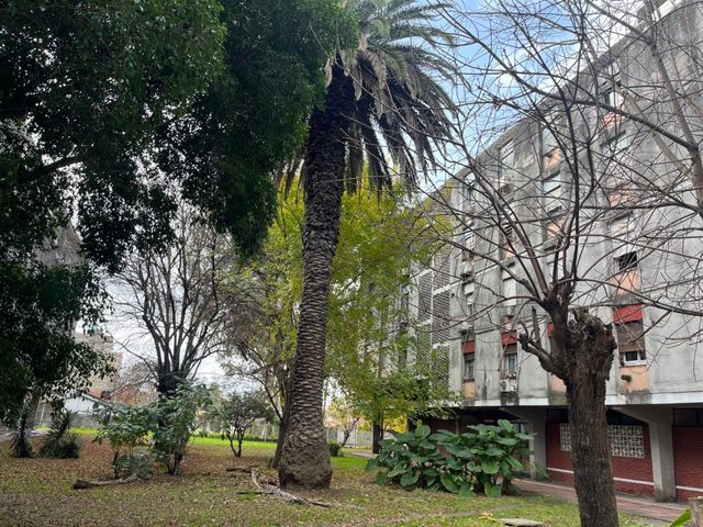 place photo 14