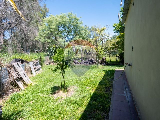 place photo 44