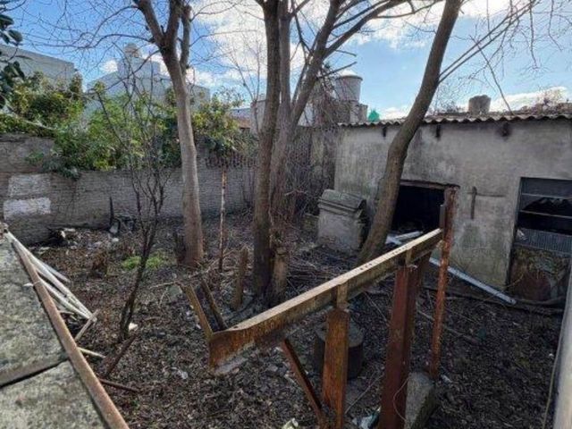 place photo 17