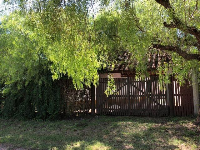 place photo 40