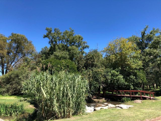 place photo 42