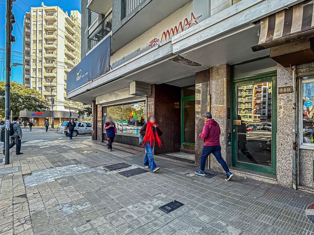 place photo 40