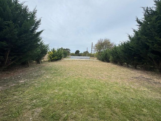 place photo 23