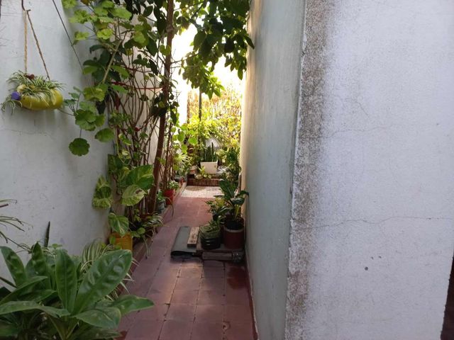 place photo 67