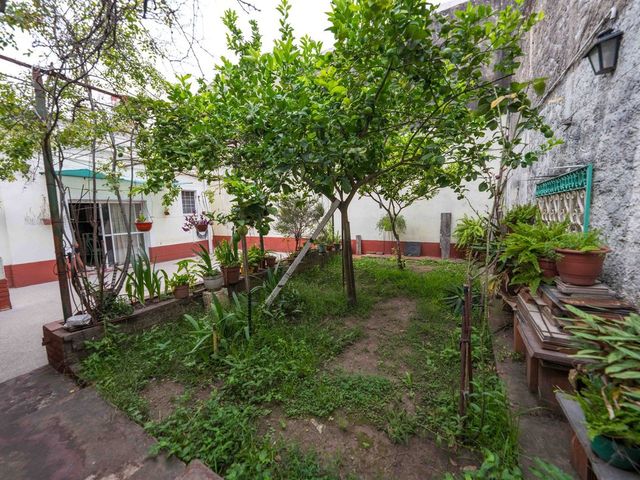 place photo 24