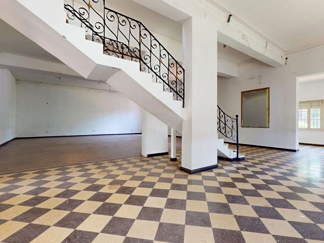 place photo 40