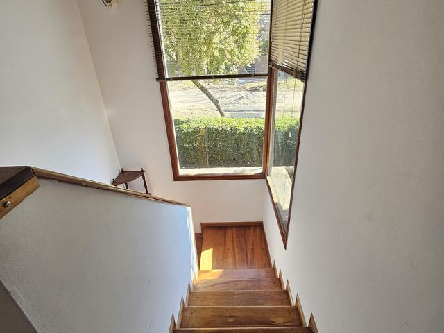 place photo 52