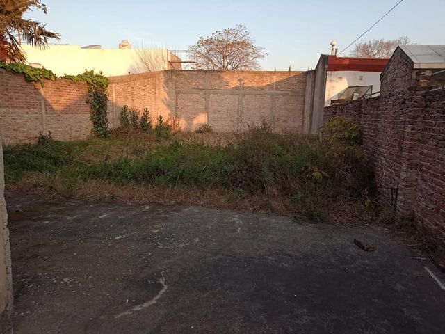 place photo 15