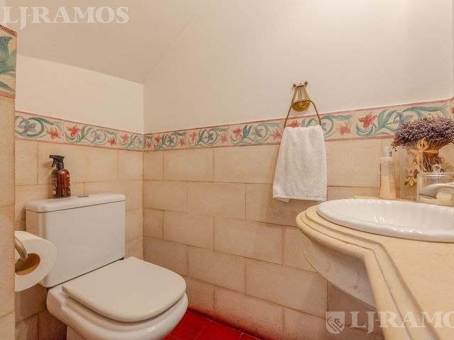 place photo 22
