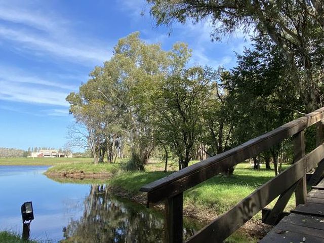 place photo 47