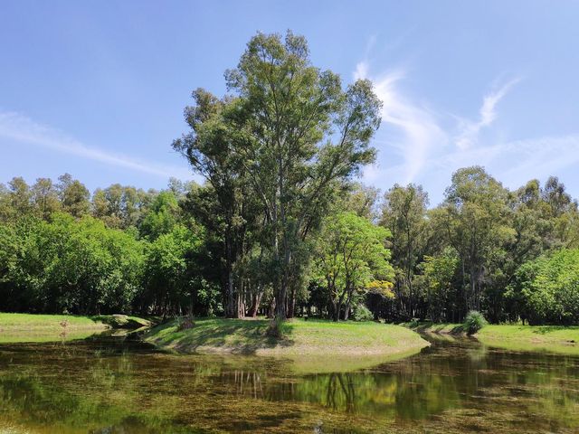 place photo 46