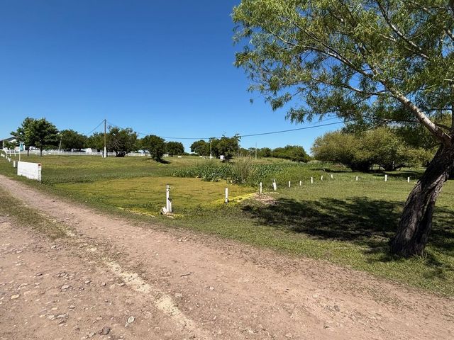place photo 28