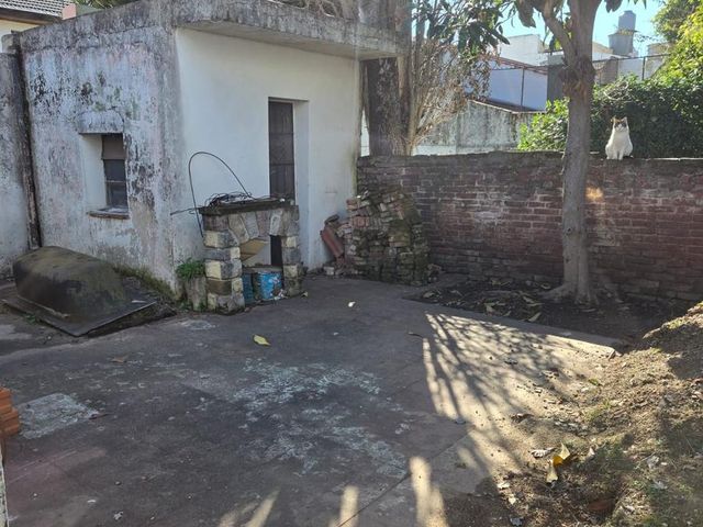 place photo 18