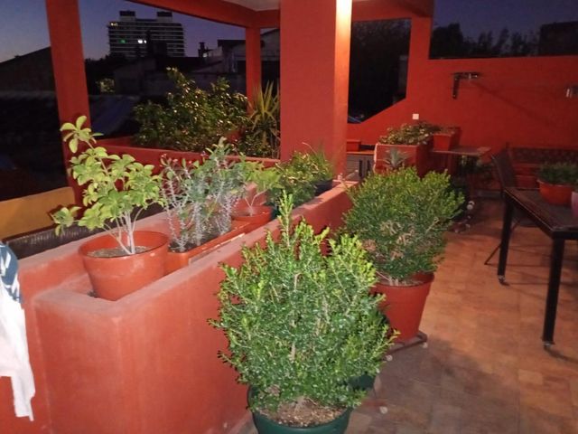 place photo 20