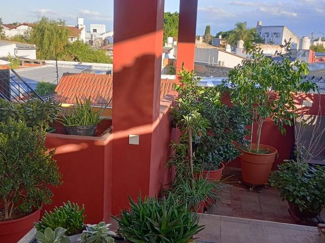 place photo 28