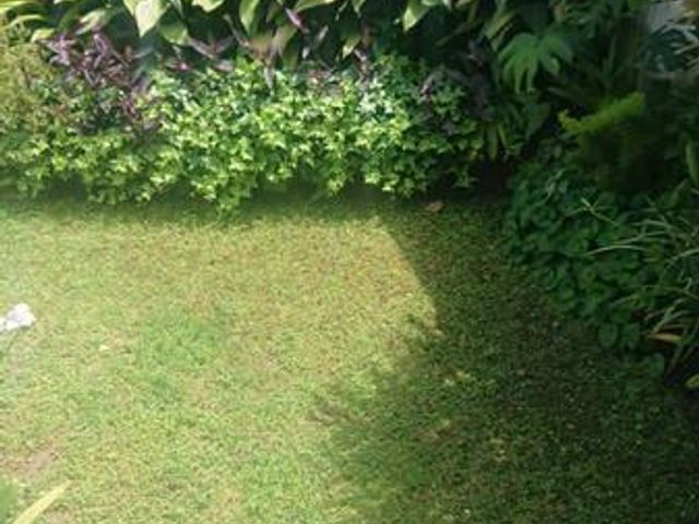 place photo 33