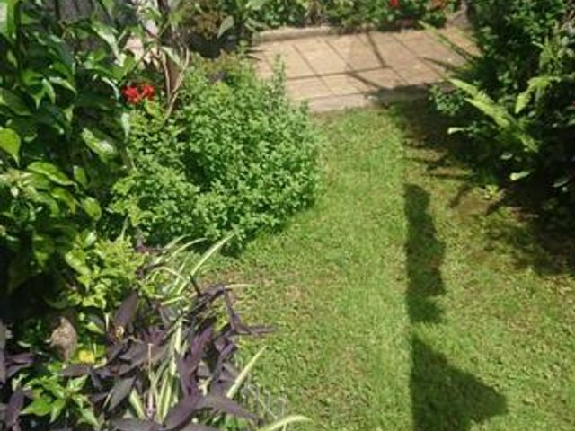place photo 31