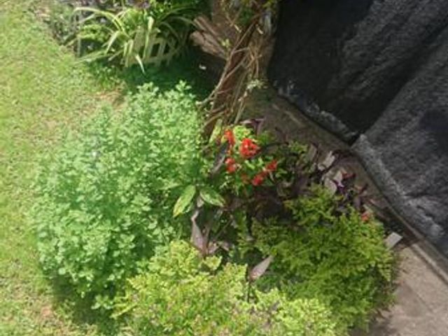 place photo 29