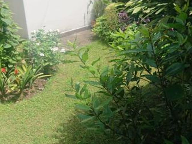 place photo 53