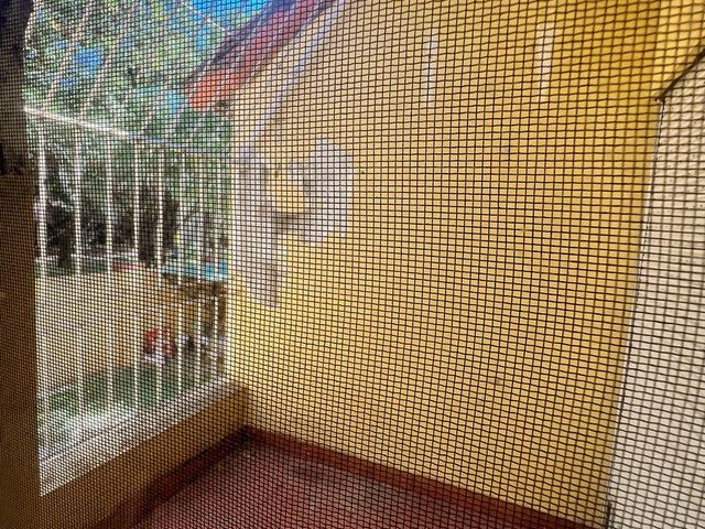 place photo 52