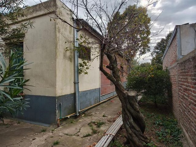 place photo 19