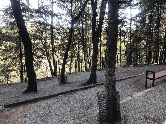 place photo 36