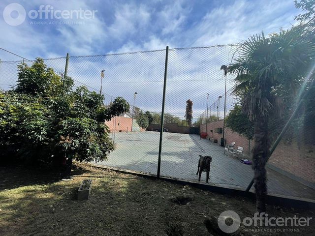 place photo 18