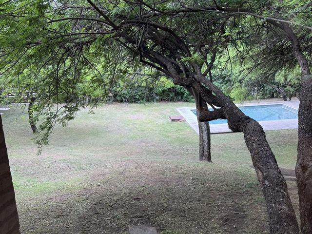 place photo 71