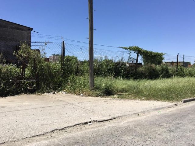 place photo 11