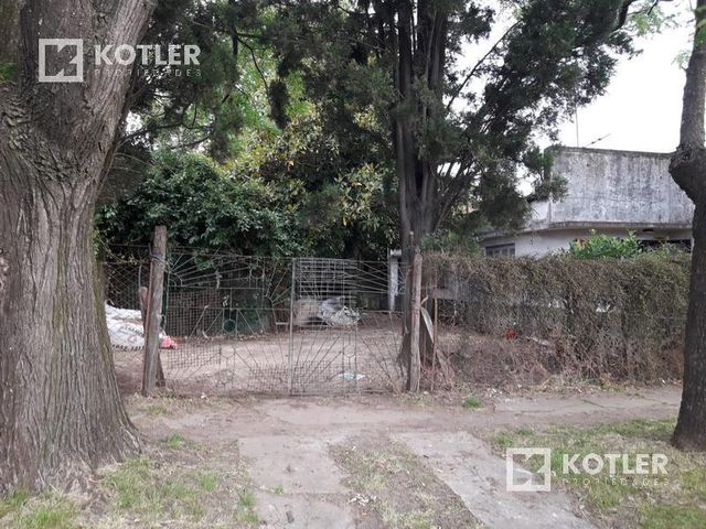 place photo 15