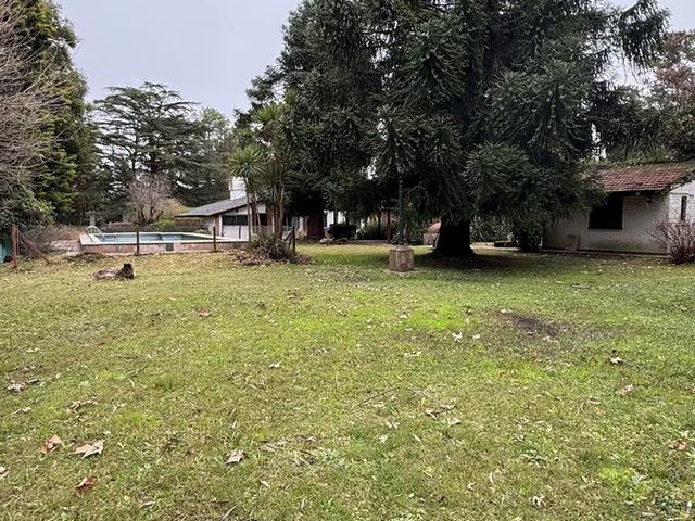place photo 37
