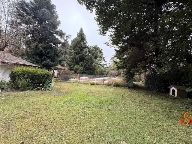 place photo 36