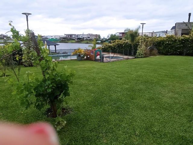 place photo 50