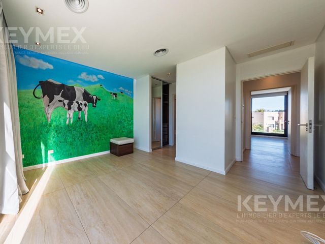 place photo 71