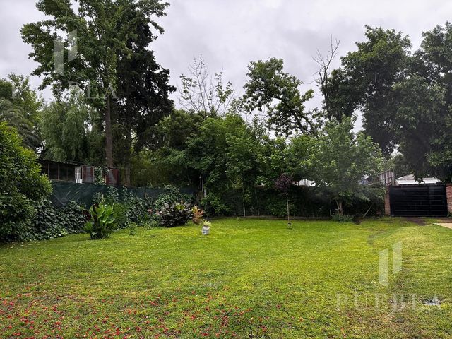 place photo 34