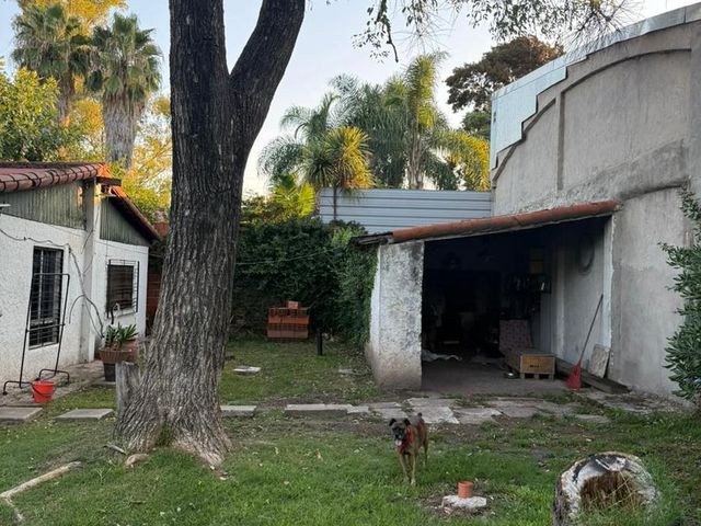 place photo 33