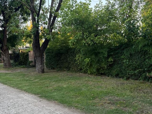 place photo 37
